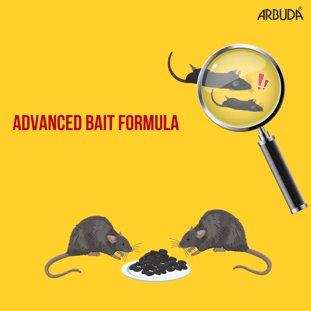 Rat Bait