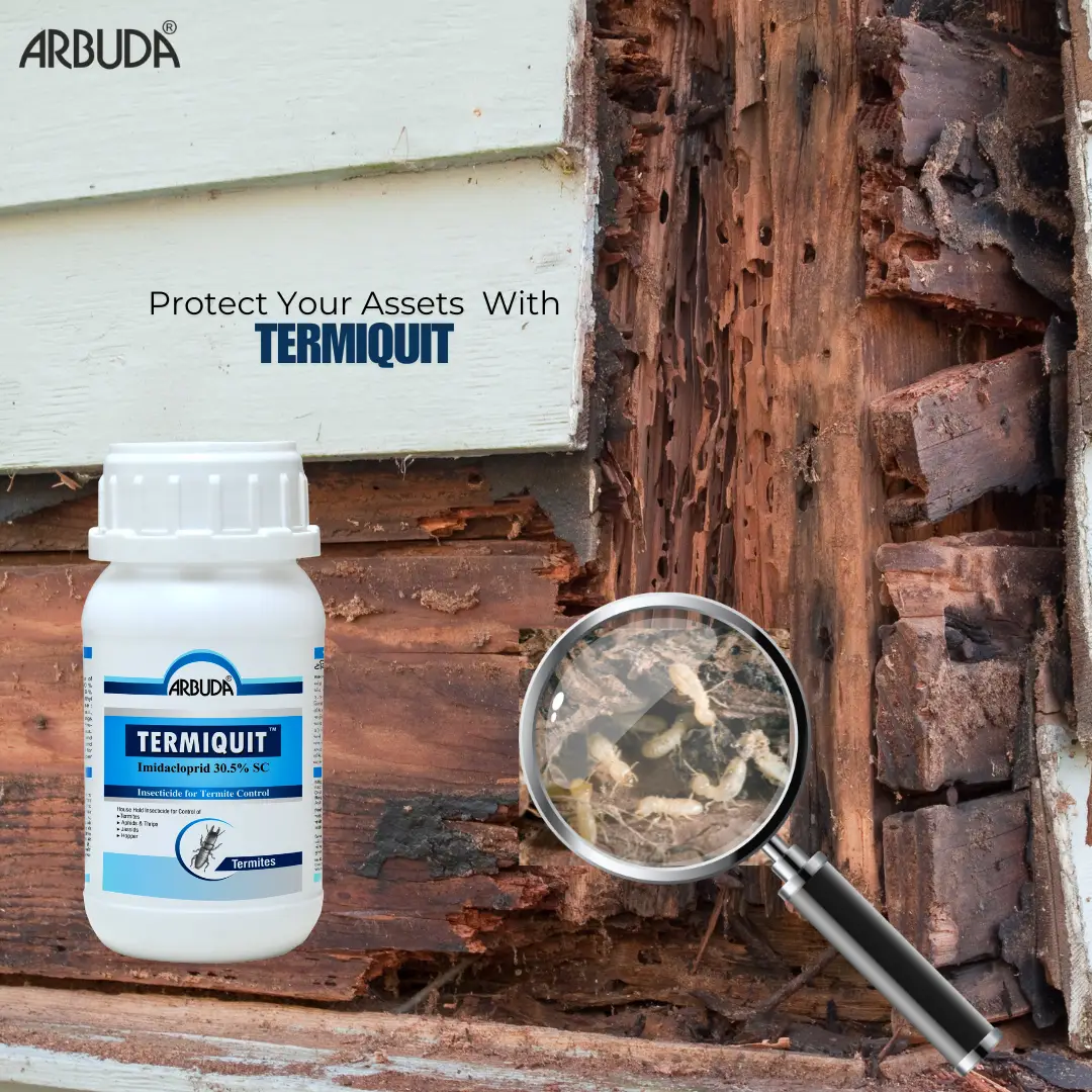 Termiquit