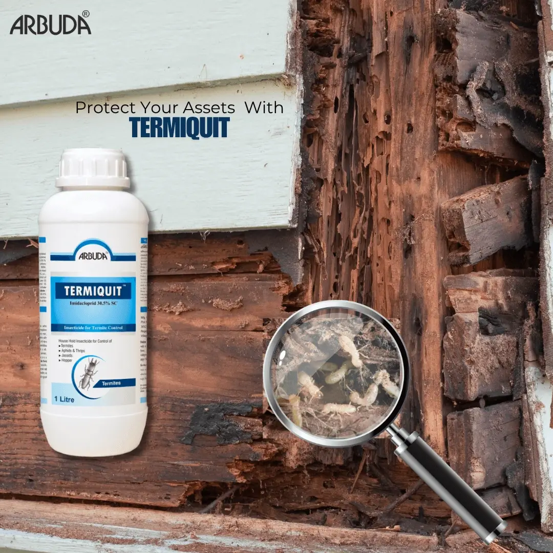 Termiquit