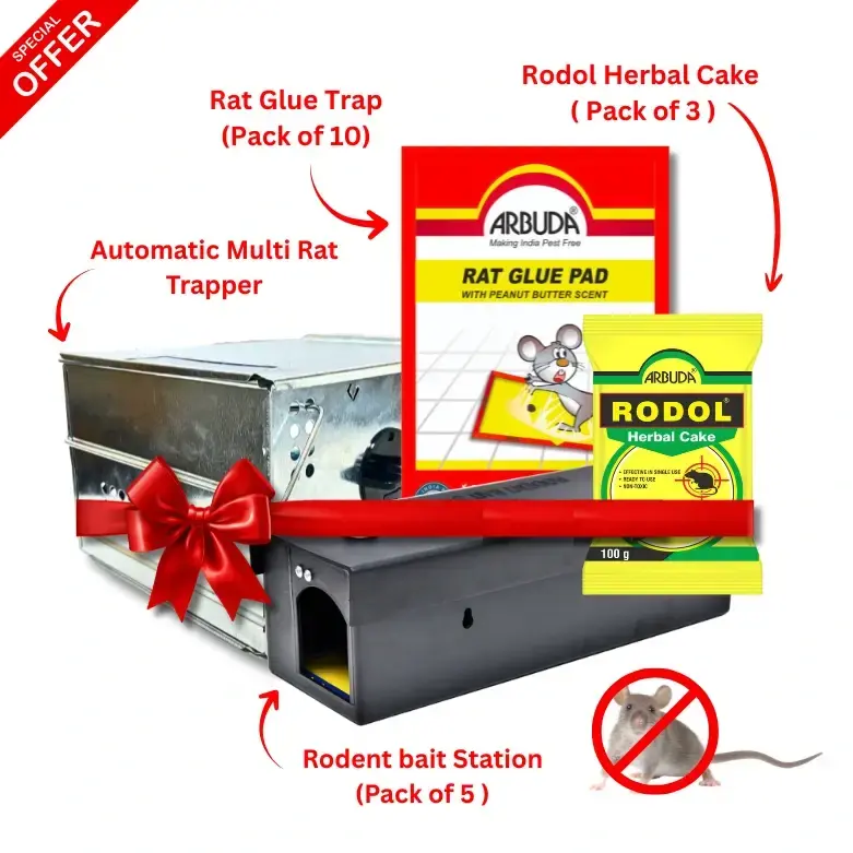 Rodol Rodent Control Kit | Bait Station, Glue Pad, Rat Cake & Trap | Combo Pack